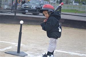 Tball Express 